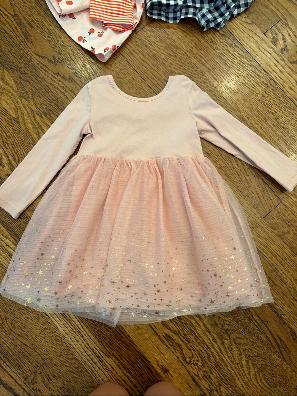 Hanna Andersson Pale Pink with Tulle Dress